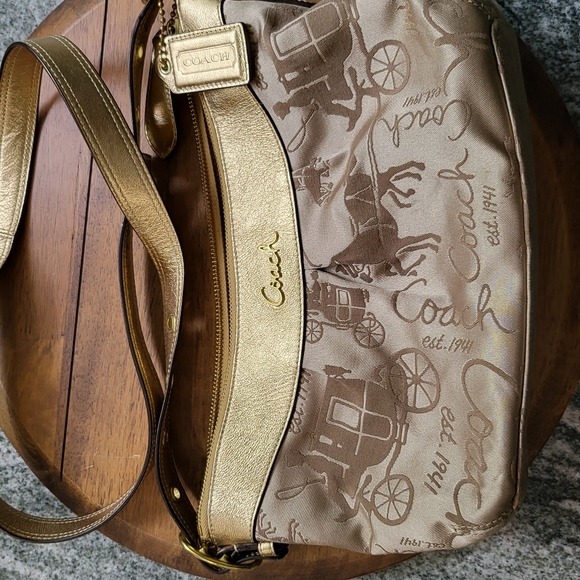 🏖️ Coach Caryall Horse Carriage Jacquard Mini Hobo Bag - Picture 9 of 16